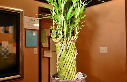 Newport Hotel | Fortune Inn & Suites