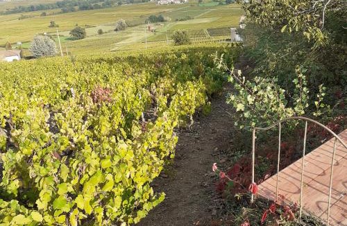 Villie-Morgon Bed & Breakfast | Foudres du Chêne du Py