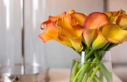 Midtown Hotel | Four Seasons Hotel Atlanta