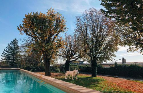 La Sarra - Saint Just Hotel | Fourvière Hôtel