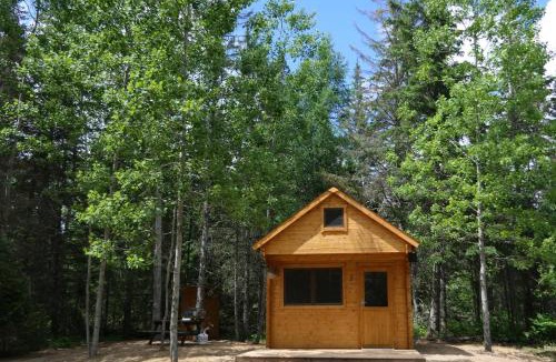 Hastings Highlands Other | Fox Den #3