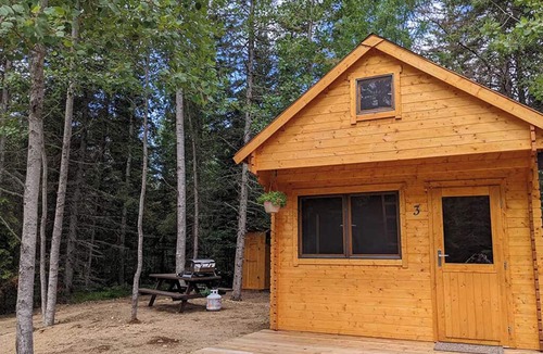 Hastings Highlands Cabin | Fox Den #3
