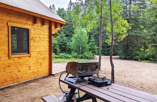 Hastings Highlands Cabin | Fox Den #3