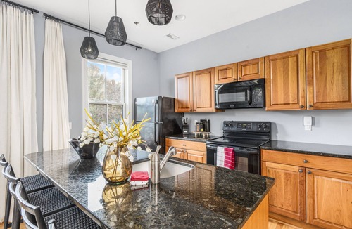 Fox Point Apartment | Fox Point Near Brown, RISD, Marina, Downtown Providence