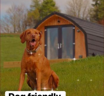 Bathgate House | Fox's Den