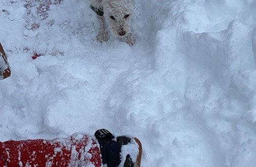 Wrightwood Bed & Breakfast | Foxes Den suite