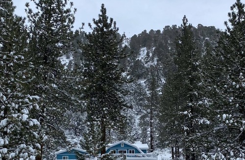 Wrightwood Bed & Breakfast | Foxes Den suite