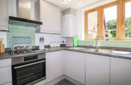 New Forest District Cottage | Foxes Earth