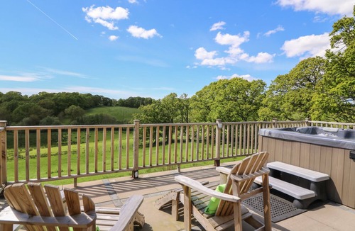 Disserth and Trecoed Cottage | Foxes Meadow