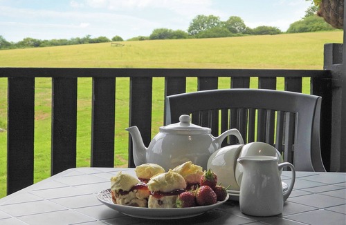 Beaworthy Cottage | Foxglove Lodge - UK13448