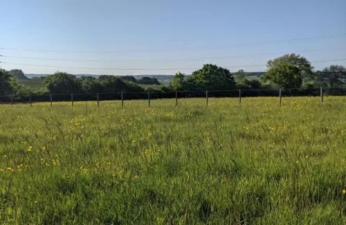 Broad Oak Cabin | Foxhill Lodges