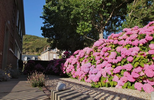 Saint-Martin-aux-Buneaux Apartment | Front de mer 2, apartment with full sea view at Les Petites Dalles