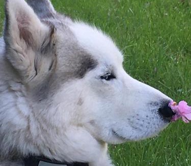 Fontenille-Saint-Martin-d'Entraigues House | Moulin De Coupigny