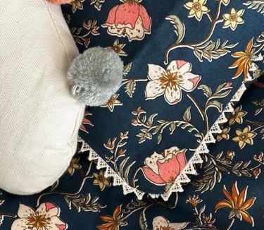 La Chapelle-Saint-Martin-en-Plaine House | Gîte du Chat Roux