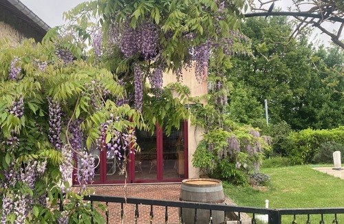 Neuvy-Deux-Clochers House | Charming house with swimming pool