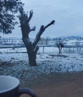 Saint-Jean-Saint-Maurice-sur-Loire House | Chez Arnaud sauna et jacuzzi