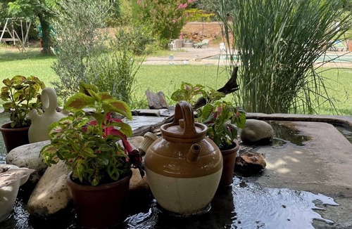 Saint-Maximin-la-Sainte-Baume House | Gîte Magali