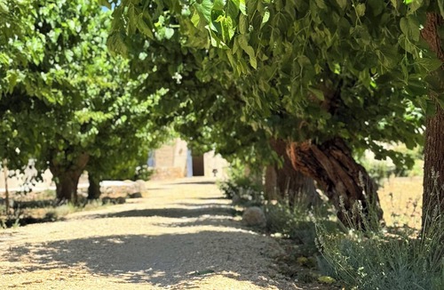 Saint-Maximin-la-Sainte-Baume House | Domaine de Maurel