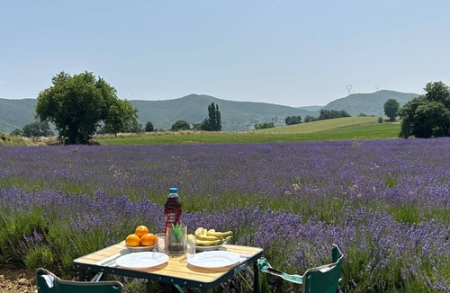 Saint-Symphorien-sous-Chomerac House | 🚐 Van aménagé Trafic 3 VASP - Ready for adventure! 🌄