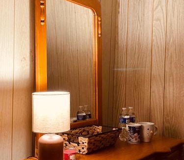 Mahanoy Plane House | Frackville