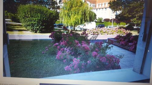 Tourgeville Apartment | Fradji et myriam