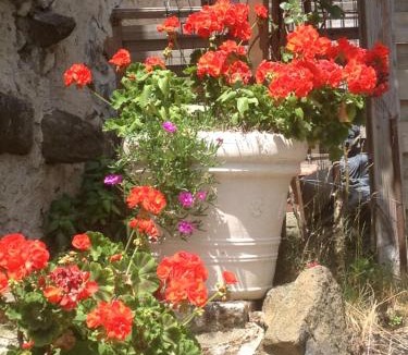 Saint-Priest House | Fraises des bois