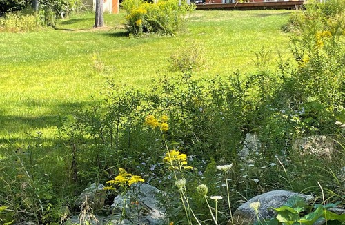 Weston House | Frank Lloyd Wright inspired, Private, mountain views, easy access & parking