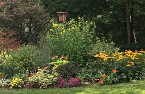 Galesburg House | Frank Lloyd Wright's The Meyer House