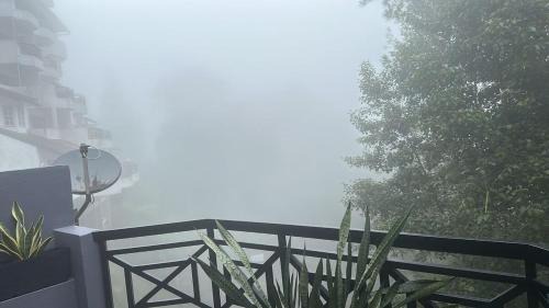 Bukit Fraser Apartment | Fraser's Haven SilverparkResort Walk down 8 steps