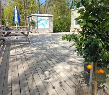 Halsnæs Kommune Hostel | Frederiksværk Camping & Hostel
