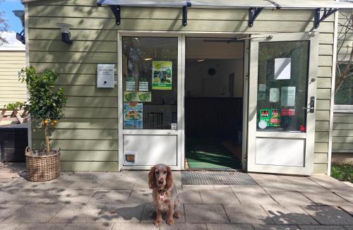 Halsnæs Kommune Hostel | Frederiksværk Camping & Hostel