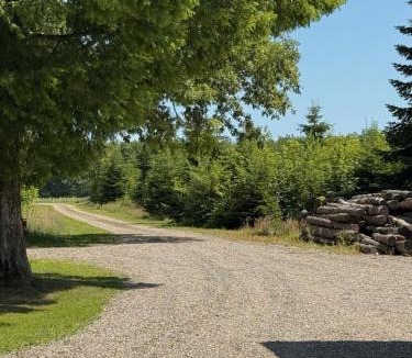 Sommersted Villa | Fredfyldt skovbolig med udespa