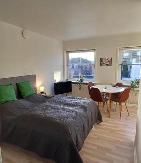 Aalborg Apartment | Free Parking Center of the City Studio Aalborg