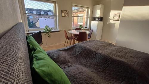 Aalborg Apartment | Free Parking Center of the City Studio Aalborg