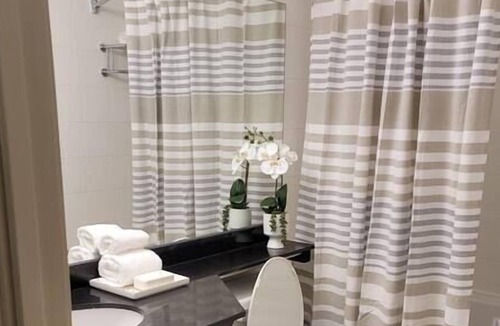 Downtown Winnipeg Apartment | Free Parking & Wi-Fi! One Bedroom Luxury Suite