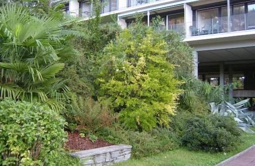 Muralto Apartment | Free sight over lake and mountains