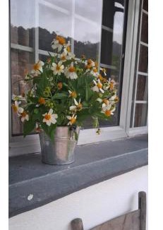 Kampung Alor Akar Villa | Freedom Guest House