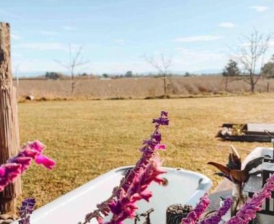 Haumoana House | FreeFall Hut