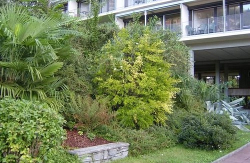 Muralto Apartment | Freie Sicht auf See und Berge by Interhome