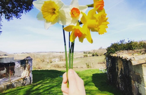 Saint-Georges-des-Agouts House | French countryside 2-Bed House