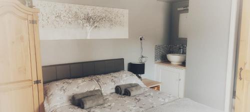 Chawton Ski Chalet | French Horn Chalets