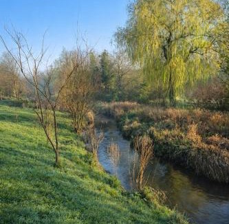 Bievres Apartment | Frida's house