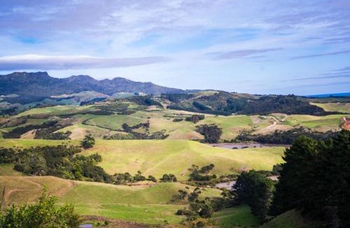 Raglan House | Fridas Accommodation