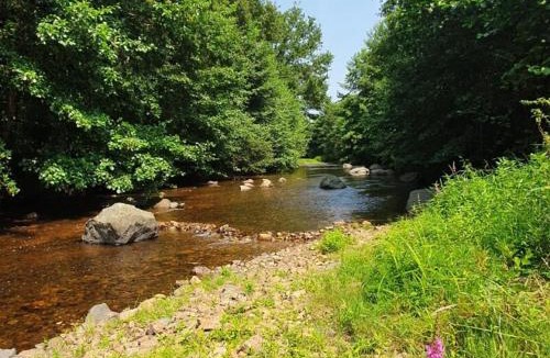 Saint-Pardoux-la-Riviere Other | Friendly Camping and Lodges