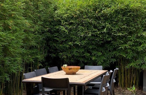 Mornington House | Friendly Mornington Retreat