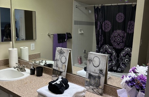 Energy Corridor Apartment | Friend’s House