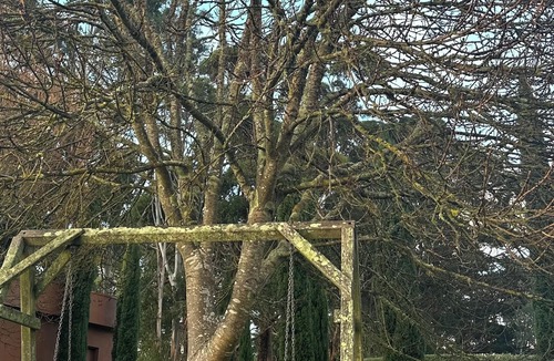 Red Hill Cottage | Frogs Pond Vineyard