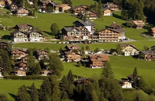 Adelboden Apartment | Frohmatt
