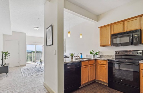 Oakland Apartment | Frontdesk | 1 BR Apt near Phipps Conservatory
