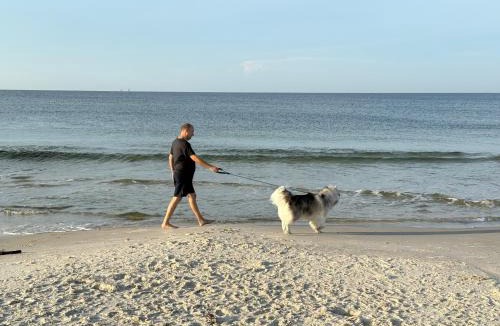 Surf Side Shores House | Ft Morgan Bama Belle-Beach Access